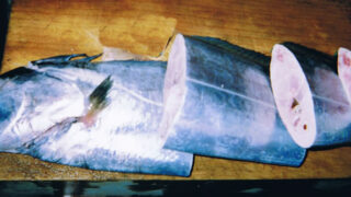 太刀魚（たちうお）