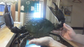 秋トワタリカニ