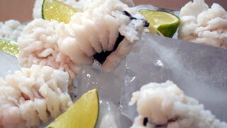 鱧（はも） の湯引き