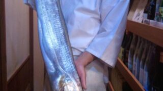 待望の宮崎日向灘獲れ太刀魚