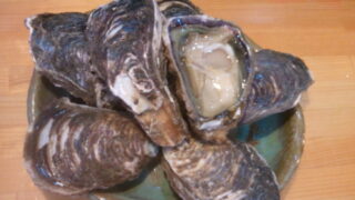 もっこり|日南どれの夏牡蠣