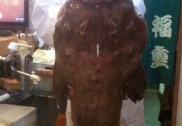 待望のアンコウ