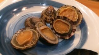 松葉貝（マツバガイ）