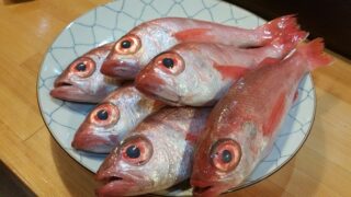 赤むつ（のどぐろ）