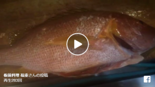 シブ鯛動画まとめ