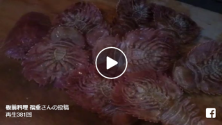 パッチンエビがパッチンするとこ